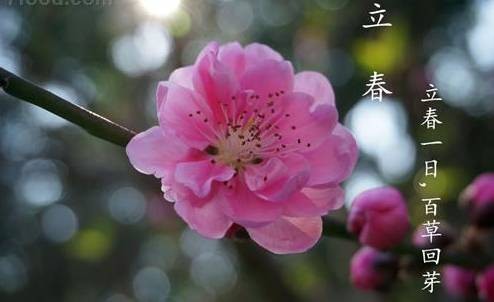 立春作品专辑（图3）