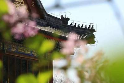 闫明辉力作 也写背影 张万娟美读（图7）