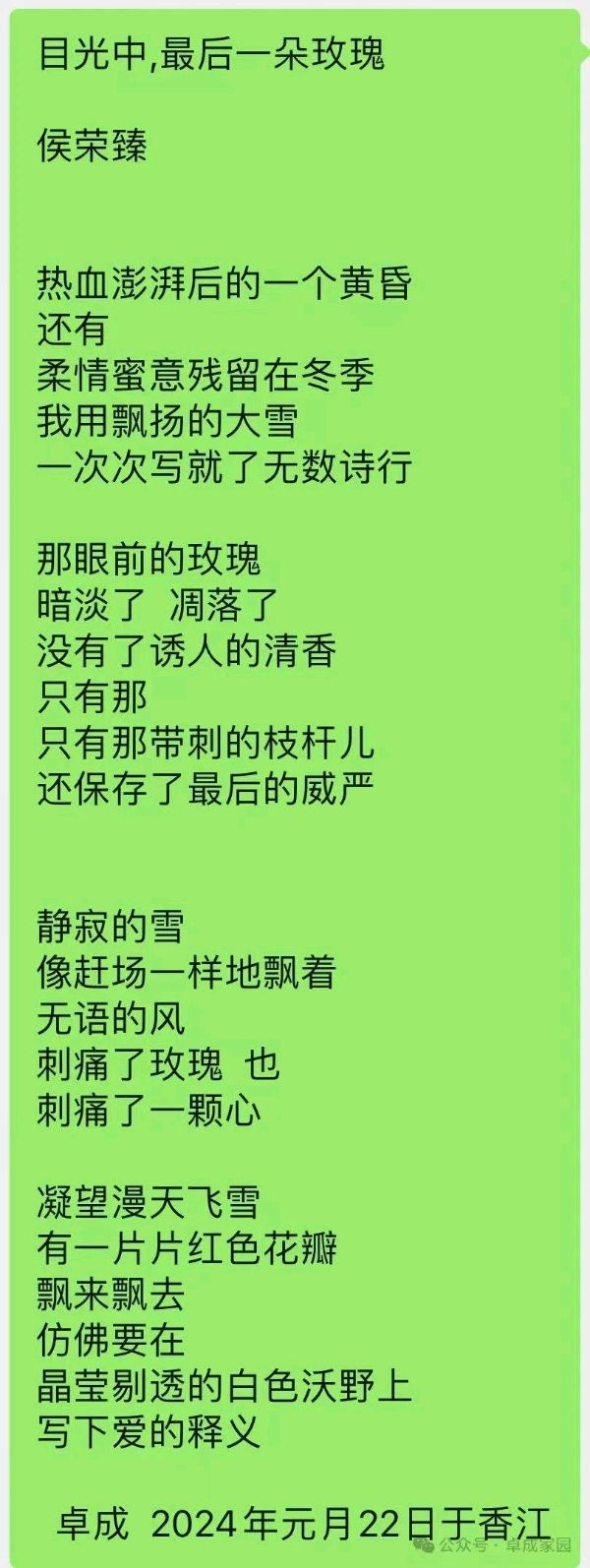 诵成君/文卓成《目光中，最后一朵玫瑰》