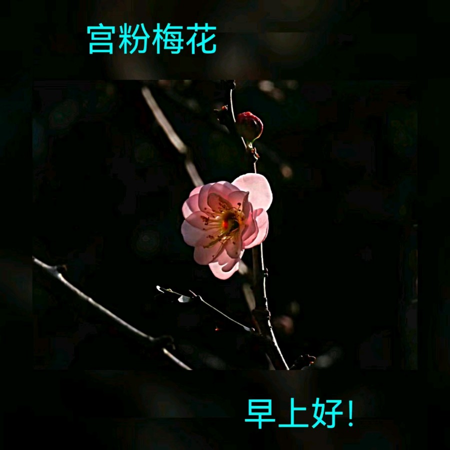 联机全球发布马洪武作品欣赏（图226）