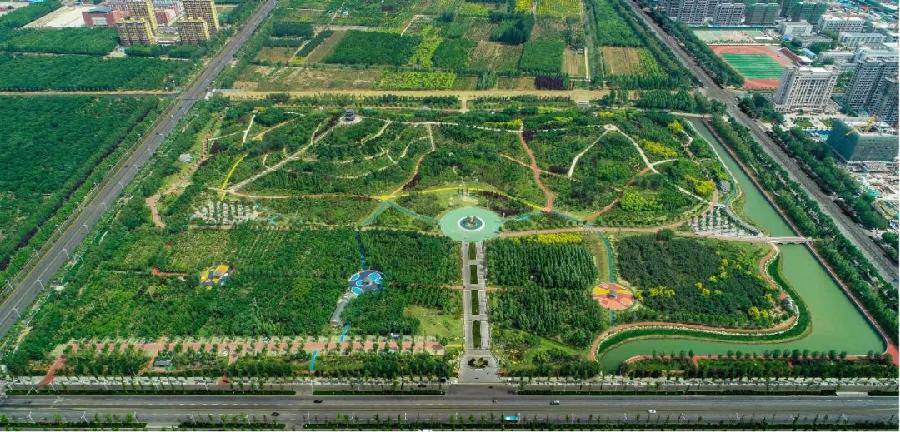 喜报!市政中心科慧市政工程设计院设计项目荣获“山东省工程建设泰山杯奖”(图4)