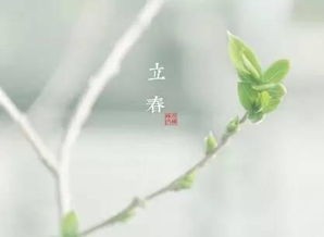 立春作品专辑（图9）
