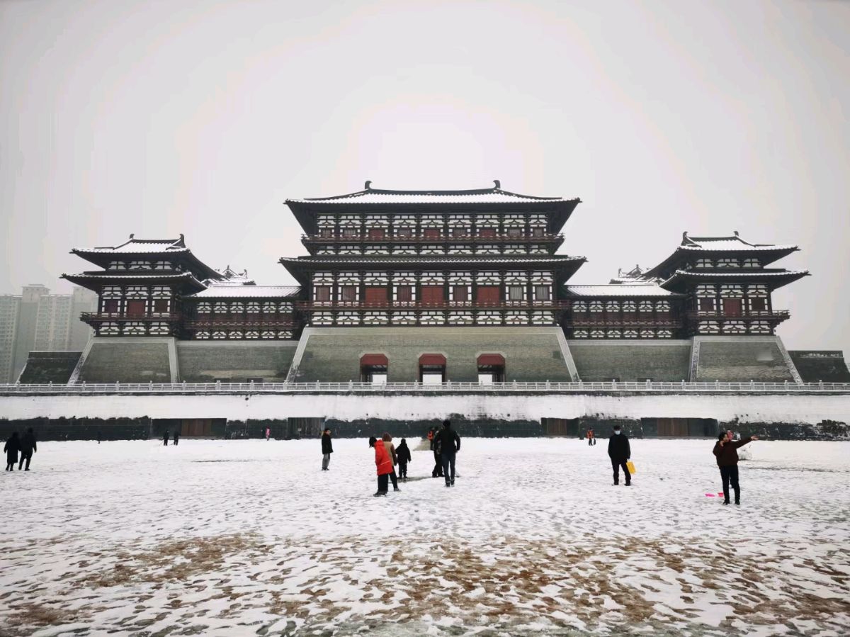 我的河南（图2）