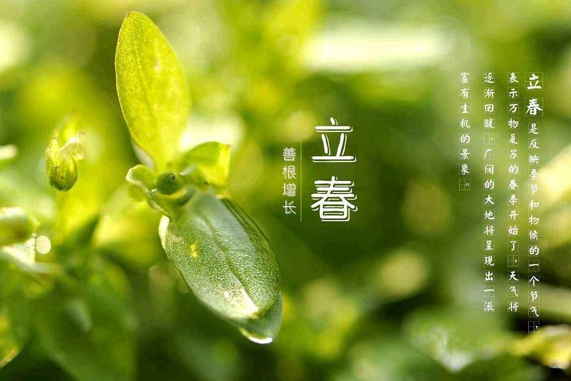作者:吴以楠《大寒寄情》《立春随吟》8386期【新京都文艺】