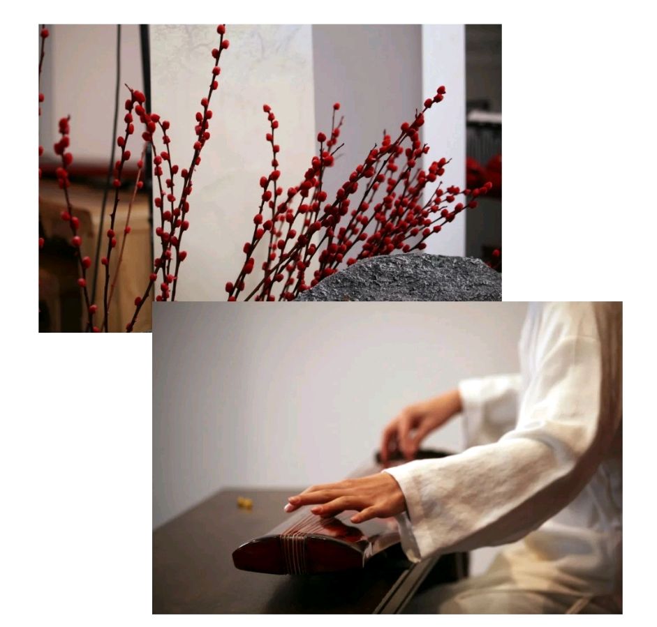 请欣赏白云翔老师的作品《新年的琴声》 主播 田心 // 编辑 福音 [第7580期]（图7）