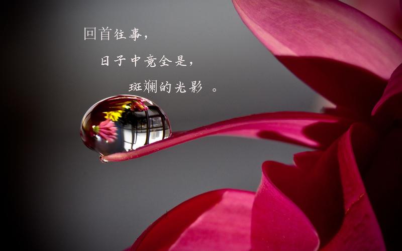 古风*迊新春（外二首）作者 卢会生〔山西〕【冰心文化传媒】（图5）