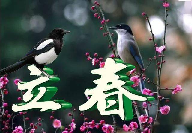 【重磅推出】“农民诗人”曹南强//立春[系列作品展]（图5）