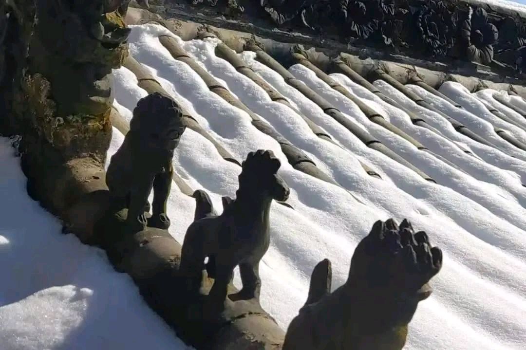《大寒里的幻象》作者:王明雪（雪歌）主播:知语【桃源国际诗歌文化传媒】用声音传递温暖以诵读致敬人生♬（图6）