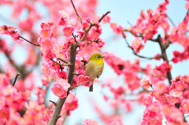 立春（图4）