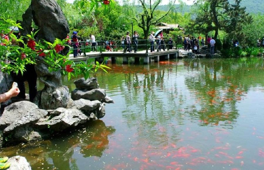西湖十大景点（组诗）诗||孟全宇（图18）