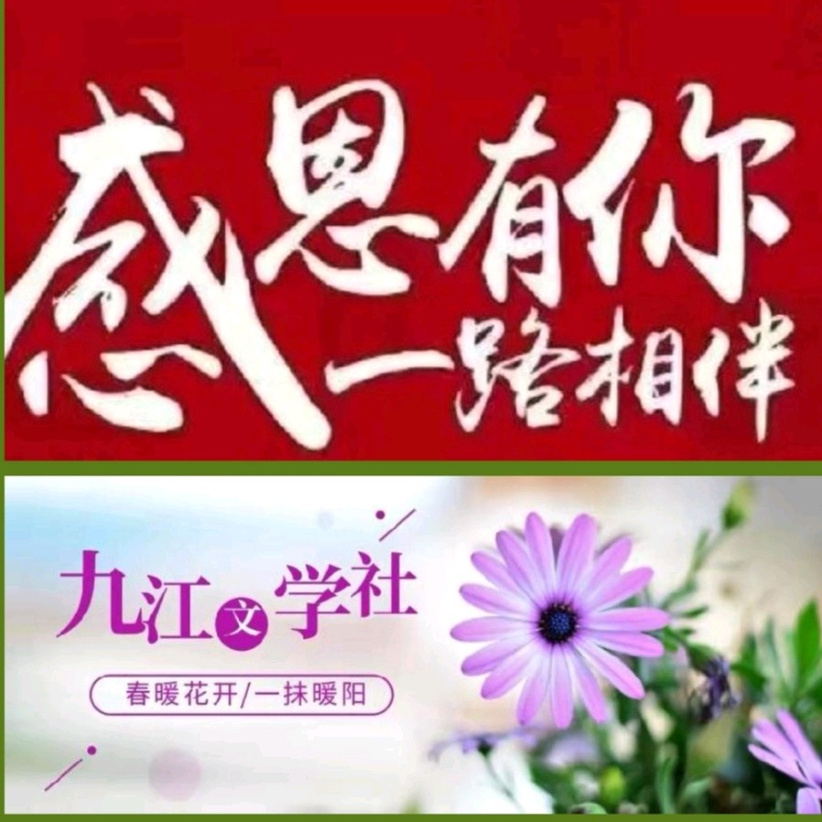 《九江文学社：北京头条》张永良先生诗作欣赏【总第1986期】（图7）