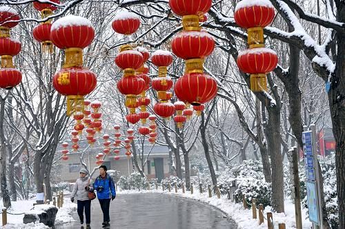 【原创】丁旭//鹧鸪天•癸卯小年大雪纷飞，特写（图5）