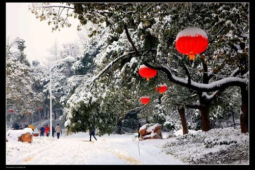 【原创】丁旭//鹧鸪天•癸卯小年大雪纷飞，特写（图3）