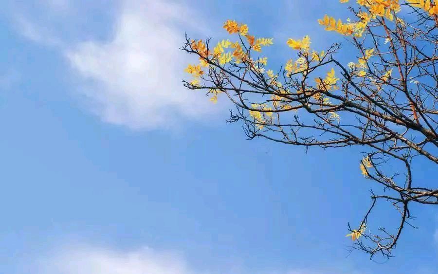 《秋日观云》文/常曙光（图5）
