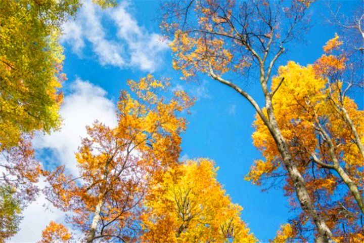 《秋日观云》文/常曙光（图4）
