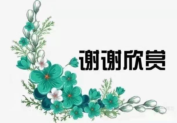 七律 · 守 岁 (平水韵)文 / 山水逸翁 (王忠森)（图6）