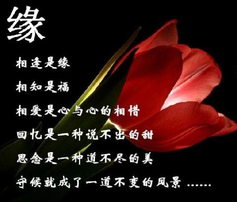 【重磅推出新春抒怀】潘启剑//七律•谢文友[“新春怀友”系列作品展]（图8）