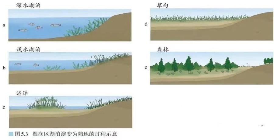 高中地理核心素养：综合思维（图5）