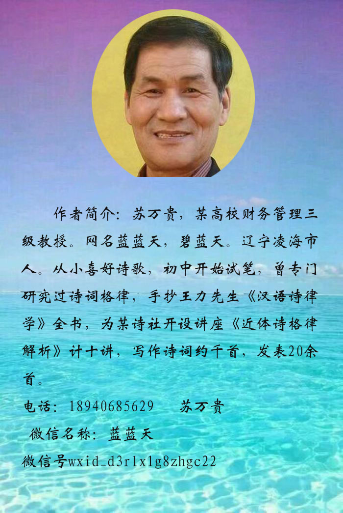 中华诗艺社关于《两岸情深》网络格律诗大赛获奖作者名次公告（图58）