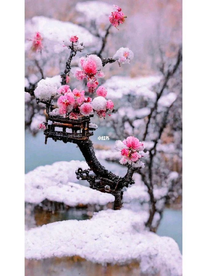 卓顺贵癸卯诗词集（图164）