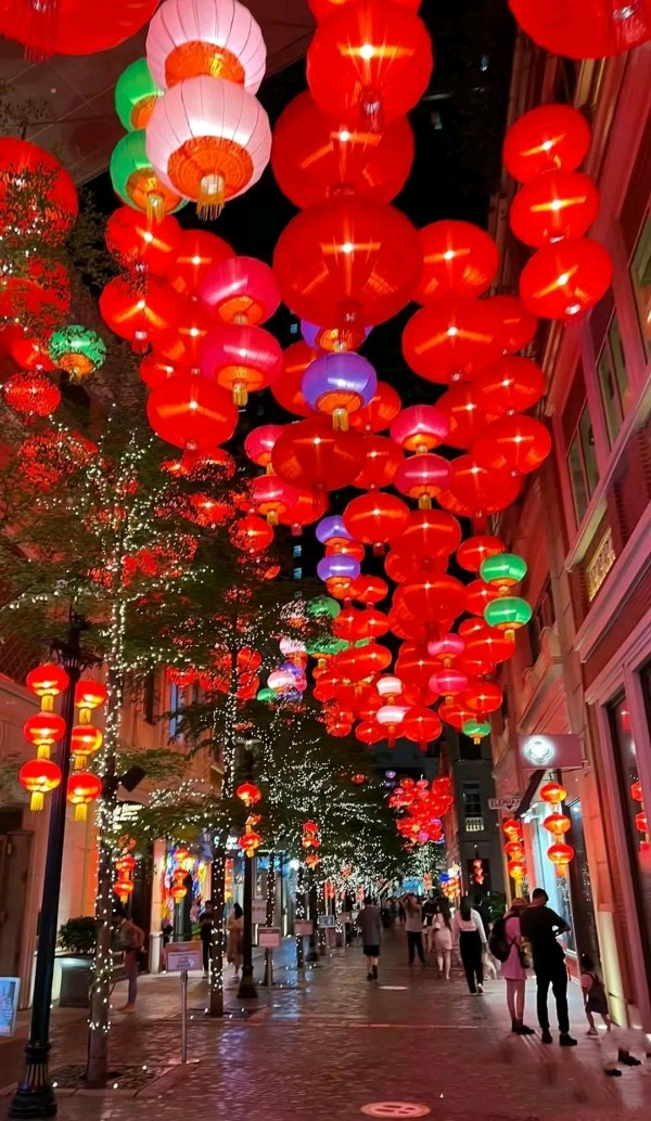 老马朗诵【蝶恋花*甲辰子夜有记】作者/张卉（图4）