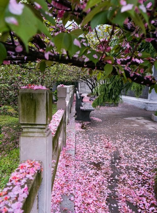 卓顺贵癸卯诗词集（图131）