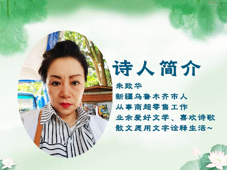 老马朗诵【缘】作者/朱致华（图2）