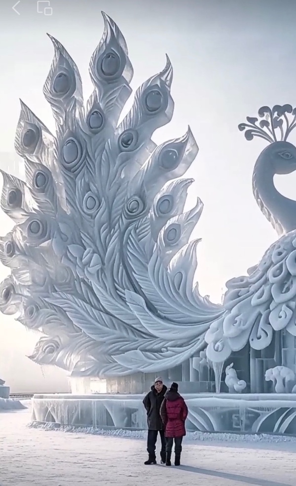 题图诗：冰雕孔雀，作者朱建国（图2）