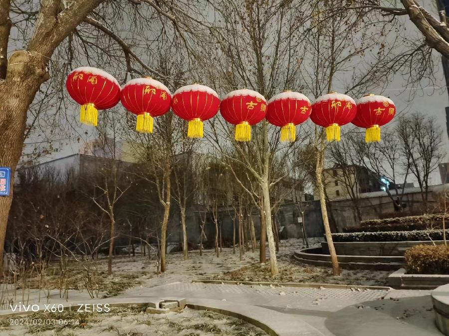 【荣耀中国】新春寄怀作者/盛学志（图2）