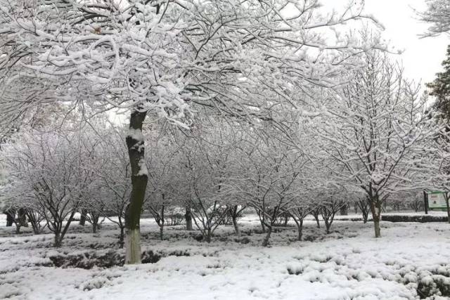 【荣耀中国】卜算子~雪乡詞/姜涛(長春)（图4）