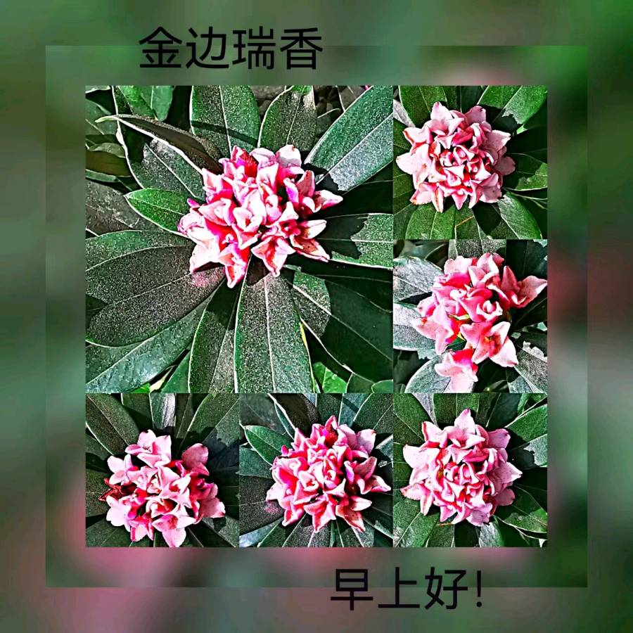 联机全球发布马洪武作品欣赏（图222）