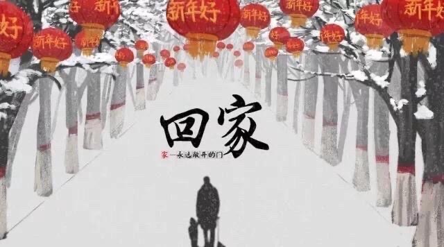 【新诗大观】回家过年||文/姜振国（图3）