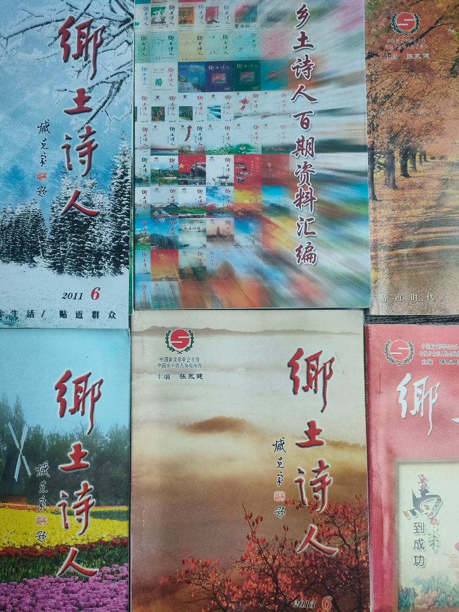 王广田:新诗《两条小狗》载《赤子乡土诗人》2026年第3期,存谢!(图93)