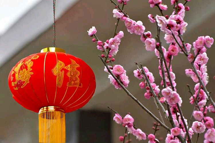 【重磅推出 迎春序曲】鲁坡//九州贺岁喜迎春（图4）
