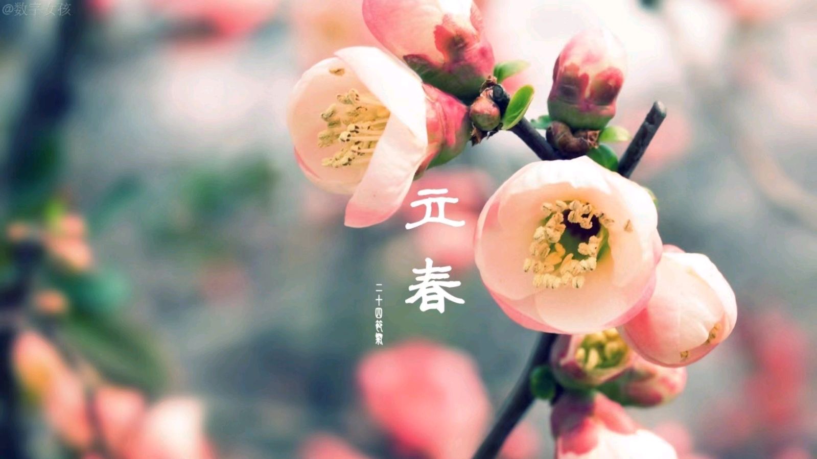 【明心文学】杨绪萍·诗五首（山东）（图5）