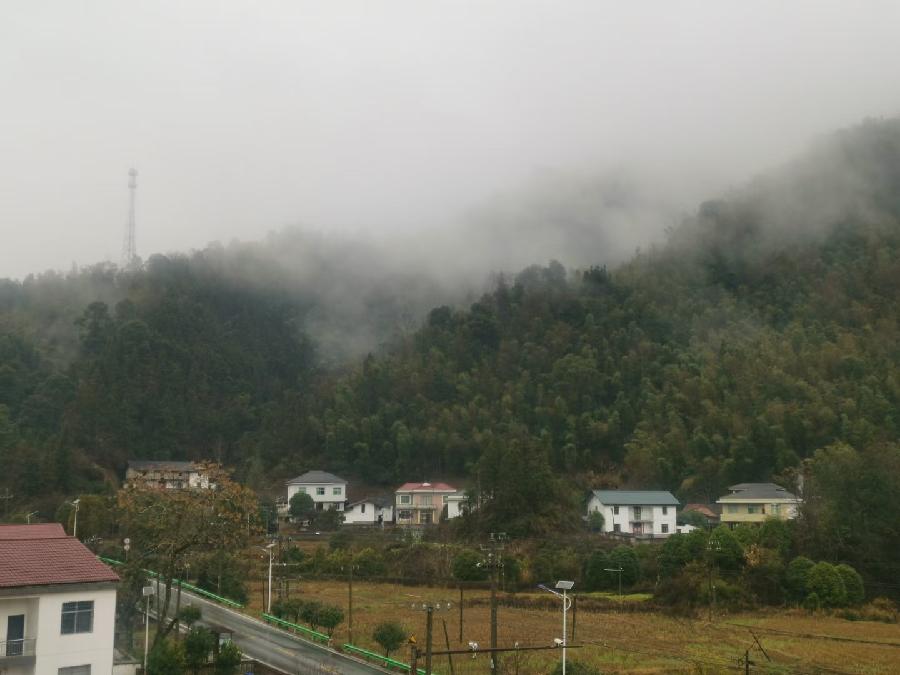 奇寒迎岁（文/许碧霞）……莲叶之珠文学社