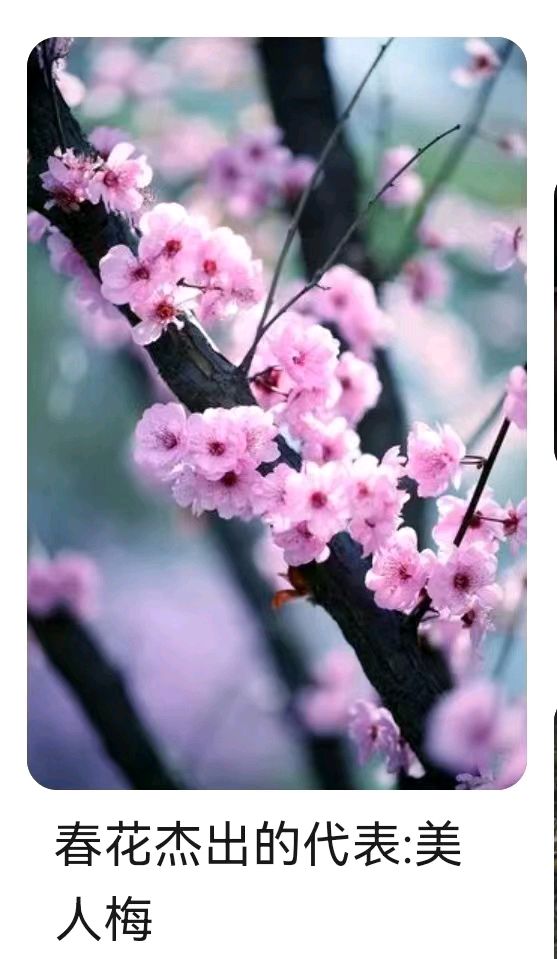 东方书剑的《山花子 龙年春节抒怀》