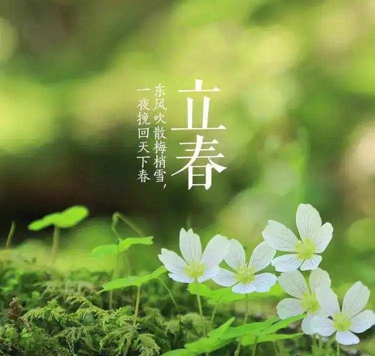 七律-小年（组合）诗||华姐（图12）