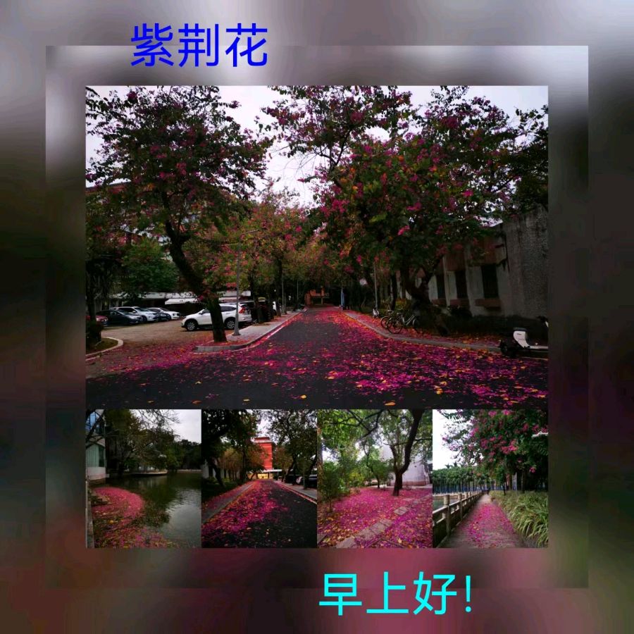 联机全球发布马洪武作品欣赏（图218）