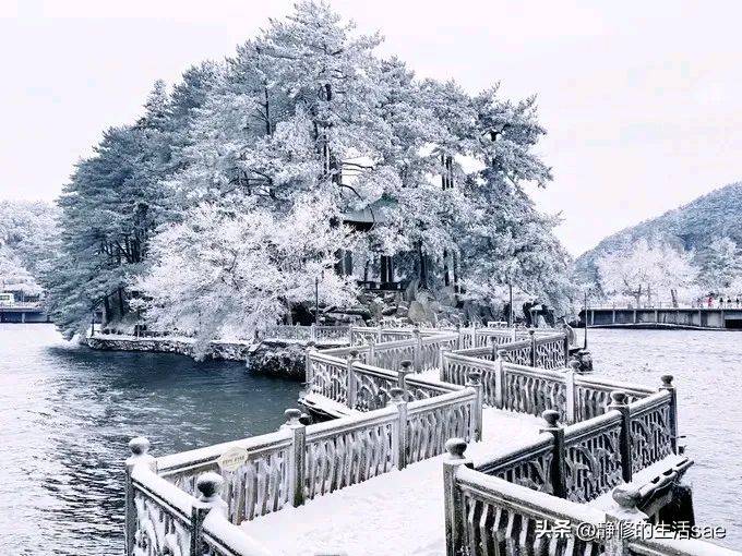 《现代诗人古诗词鉴赏》作者:吴丽跃配乐朗诵:马志宏[中国现代诗歌文化传媒]（图6）