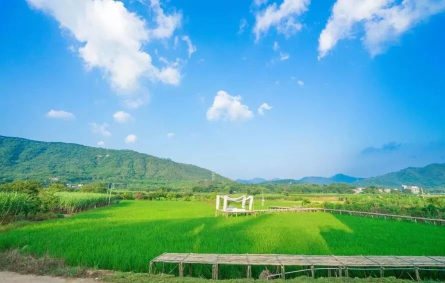 太阳的微笑（组合）诗||一农（图12）