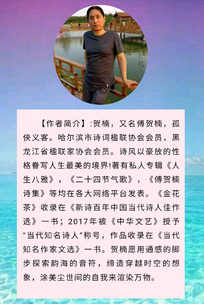 中华诗艺社【黑龙江分社】微刊第333期(春节专刊)（图9）