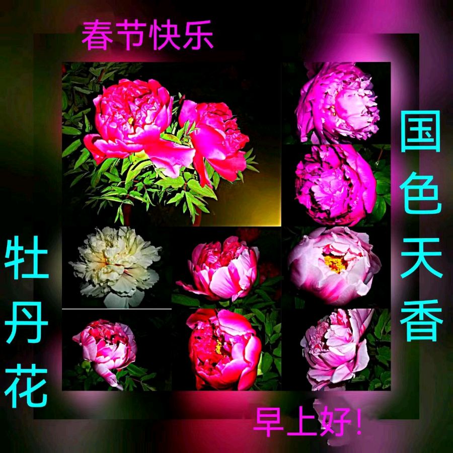 联机全球发布马洪武作品欣赏（图215）
