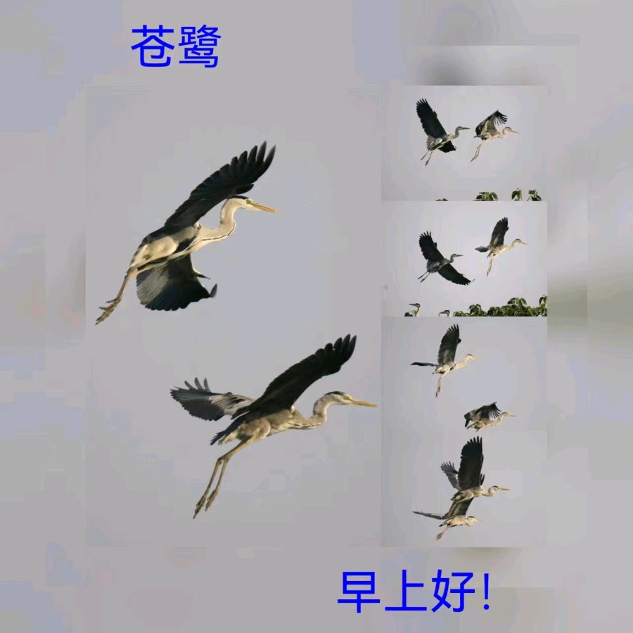 联机全球发布马洪武作品欣赏（图216）