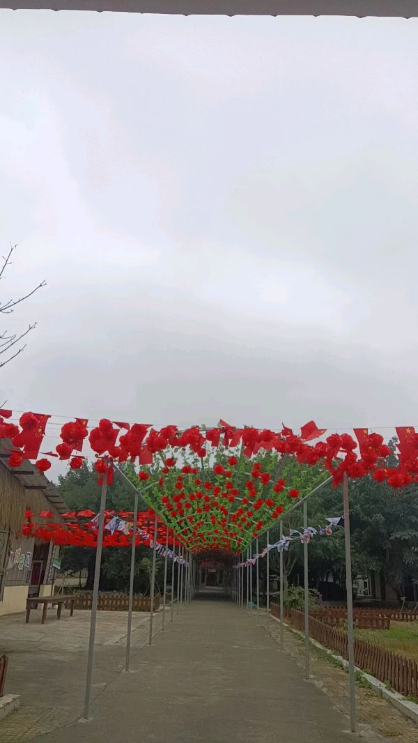 随记578：祝您龙年龘龘，前程朤朤（图6）