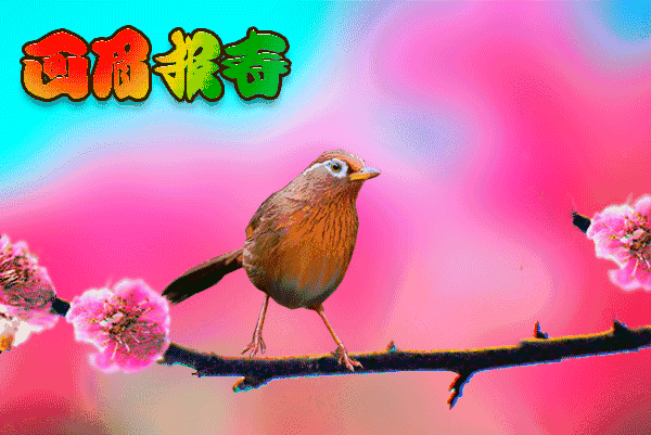 齐宪(黑龙江)新年诗词小辑*冰心文化传媒*主编冰心（图9）