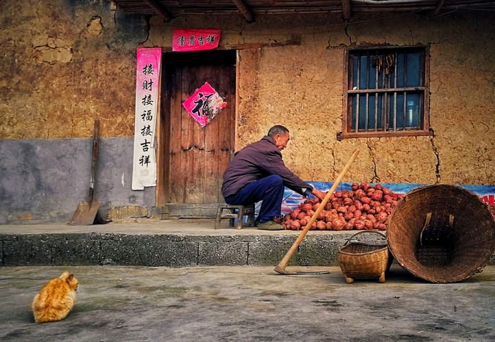 【经典推荐新年放歌】廖万友老师//七律•龍[系列作品展]（图6）