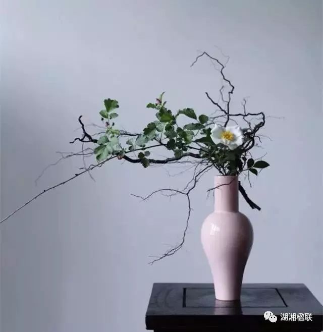 程宝玉〔内蒙古〕新年诗歌小辑 冰心文化传媒*主编冰心（图11）