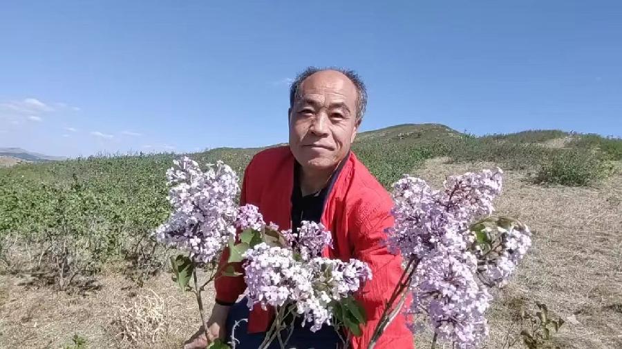 岸芷汀兰文学社第24期(图10)