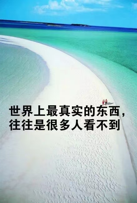 中华诗艺社【黑龙江分社】微刊第333期(春节专刊)（图32）